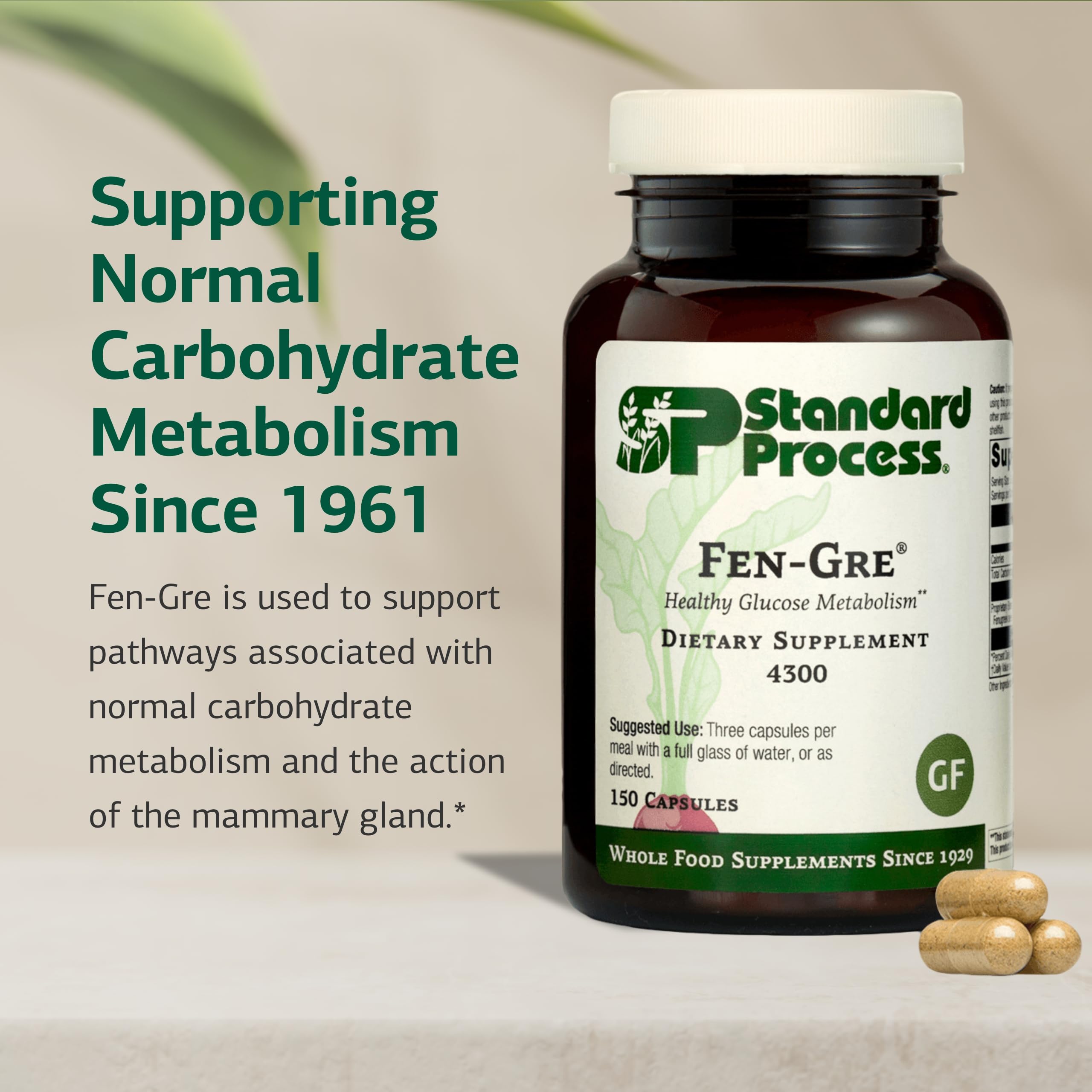 Fen-Gre: gelules clos montrant la forme en capsules et dosage potentiel.