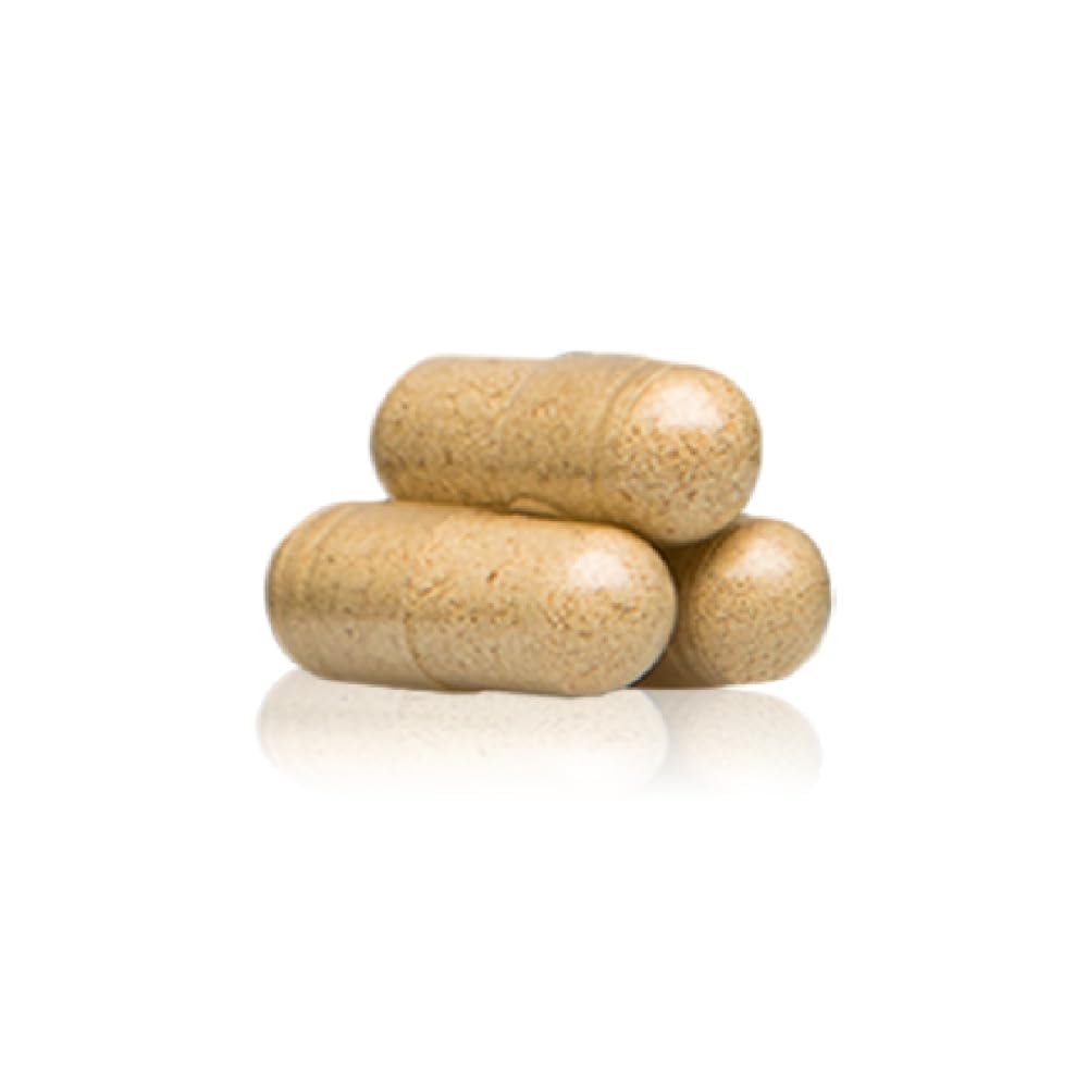 Standard Process Gastro-Fiber : psyllium, ingrédient clé pour la fibre alimentaire.