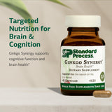 Standard Process Ginkgo Synergy : extrait Ginkgo Biloba, pour soutenir le flux sanguin cérébral potentiel