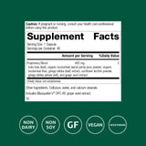 Standard Process Ginkgo Synergy : gélules visibles, apport quotidien potentiel pour la mémoire et la concentration