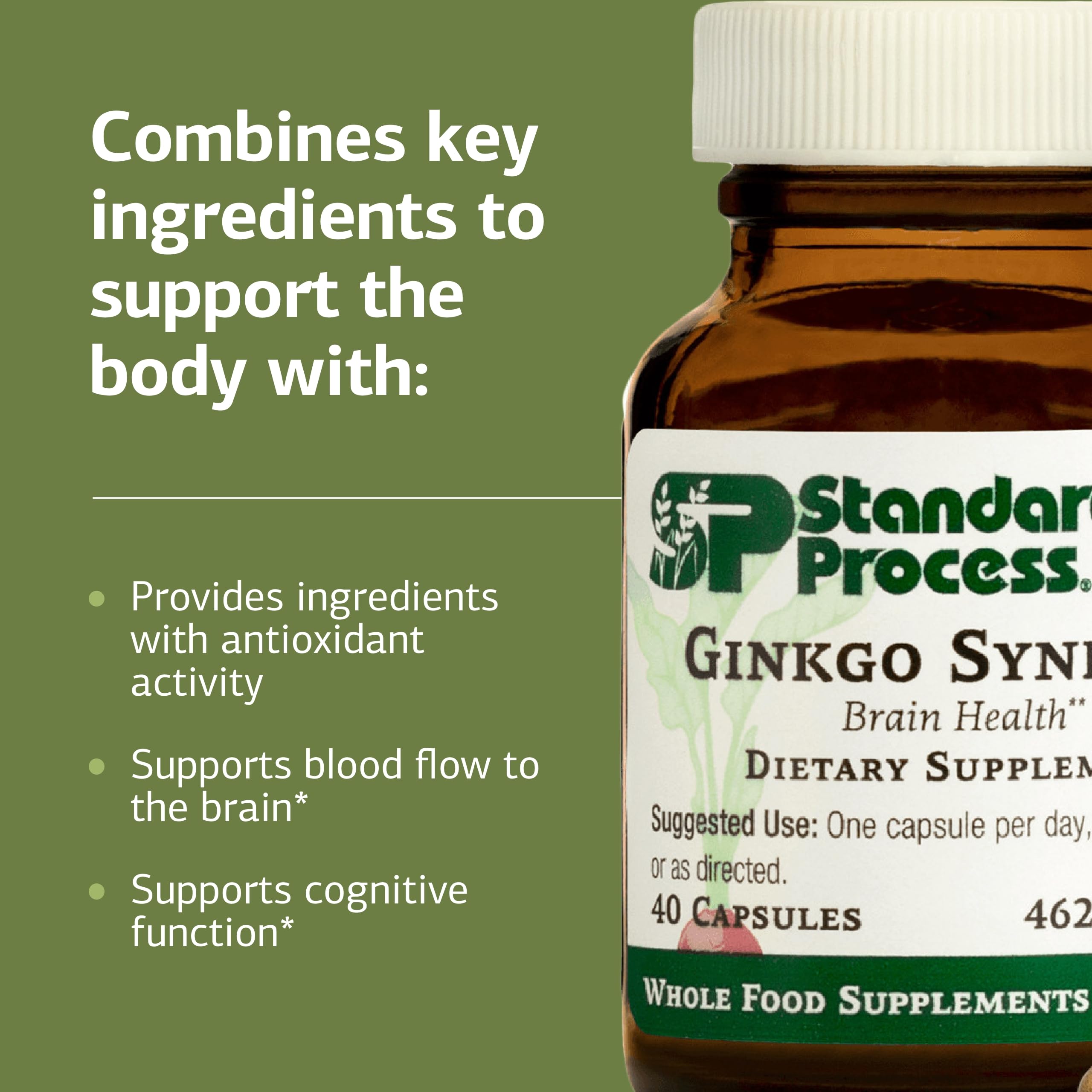 Standard Process Ginkgo Synergy : poudre de sarrasin biologique, base naturelle dans la formule