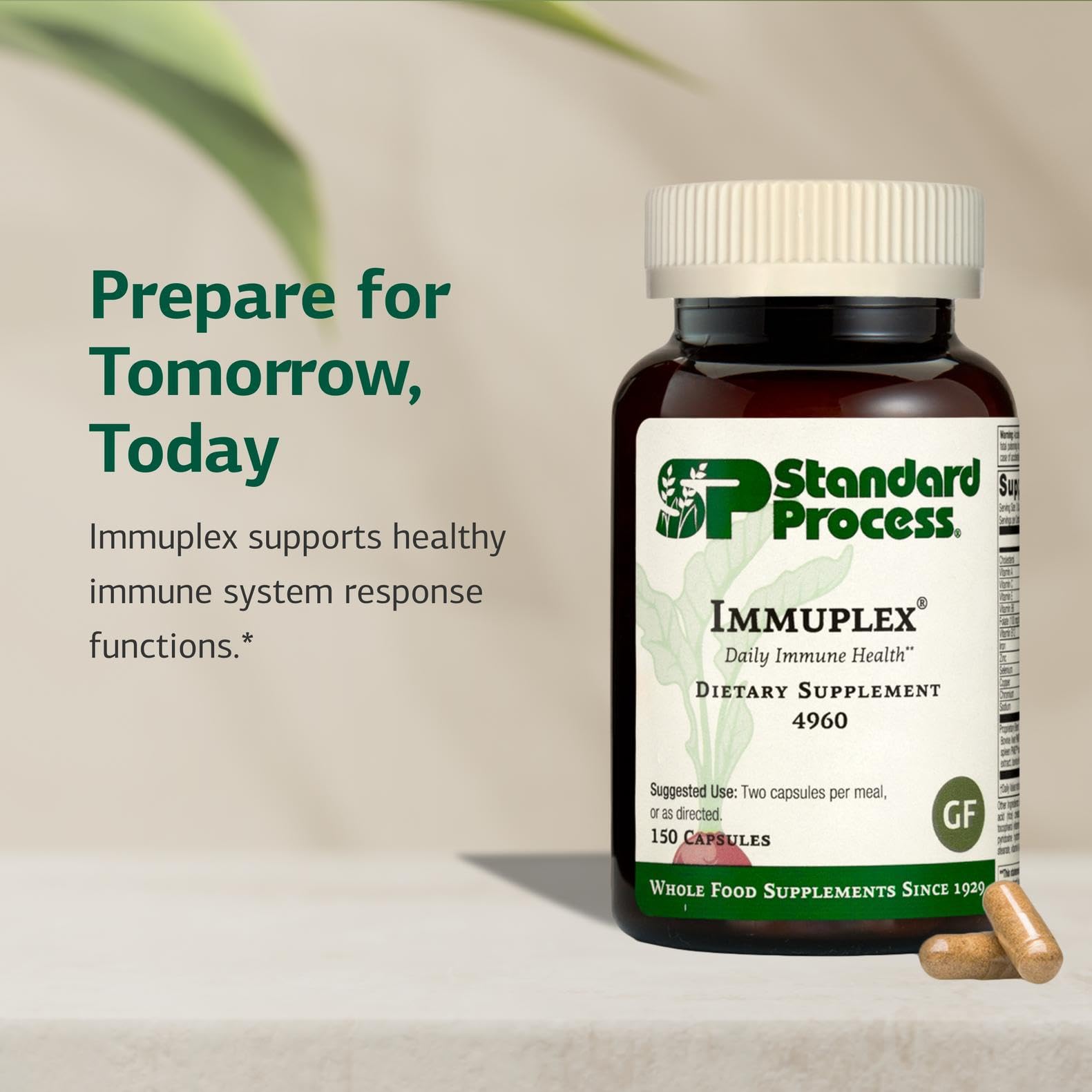 Immuplex Standard Process: gelules faciles à prendre avec repas et nutriments essentiels.
