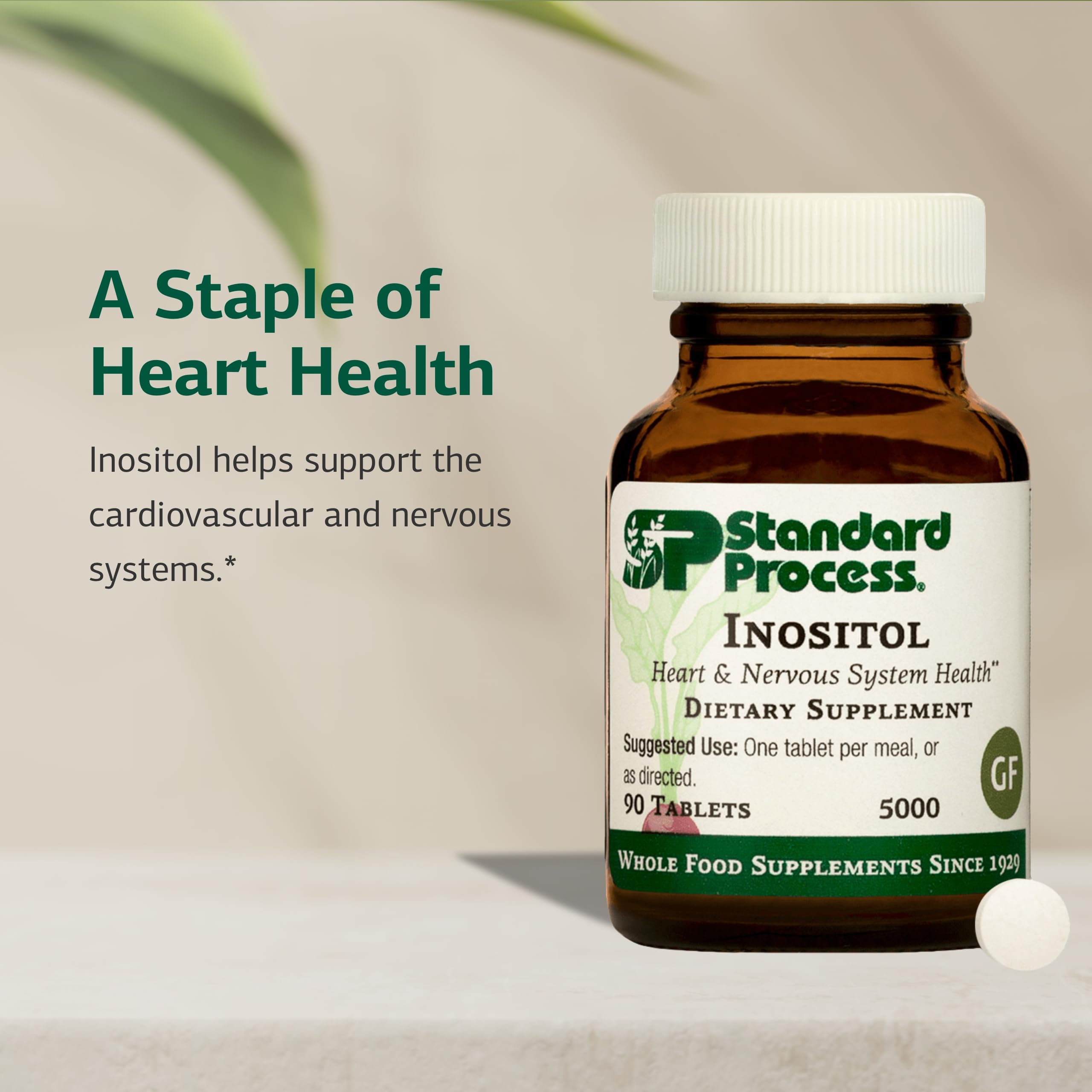 Standard Process Inositol – doseur : options d'utilisation et dosage suggéré.