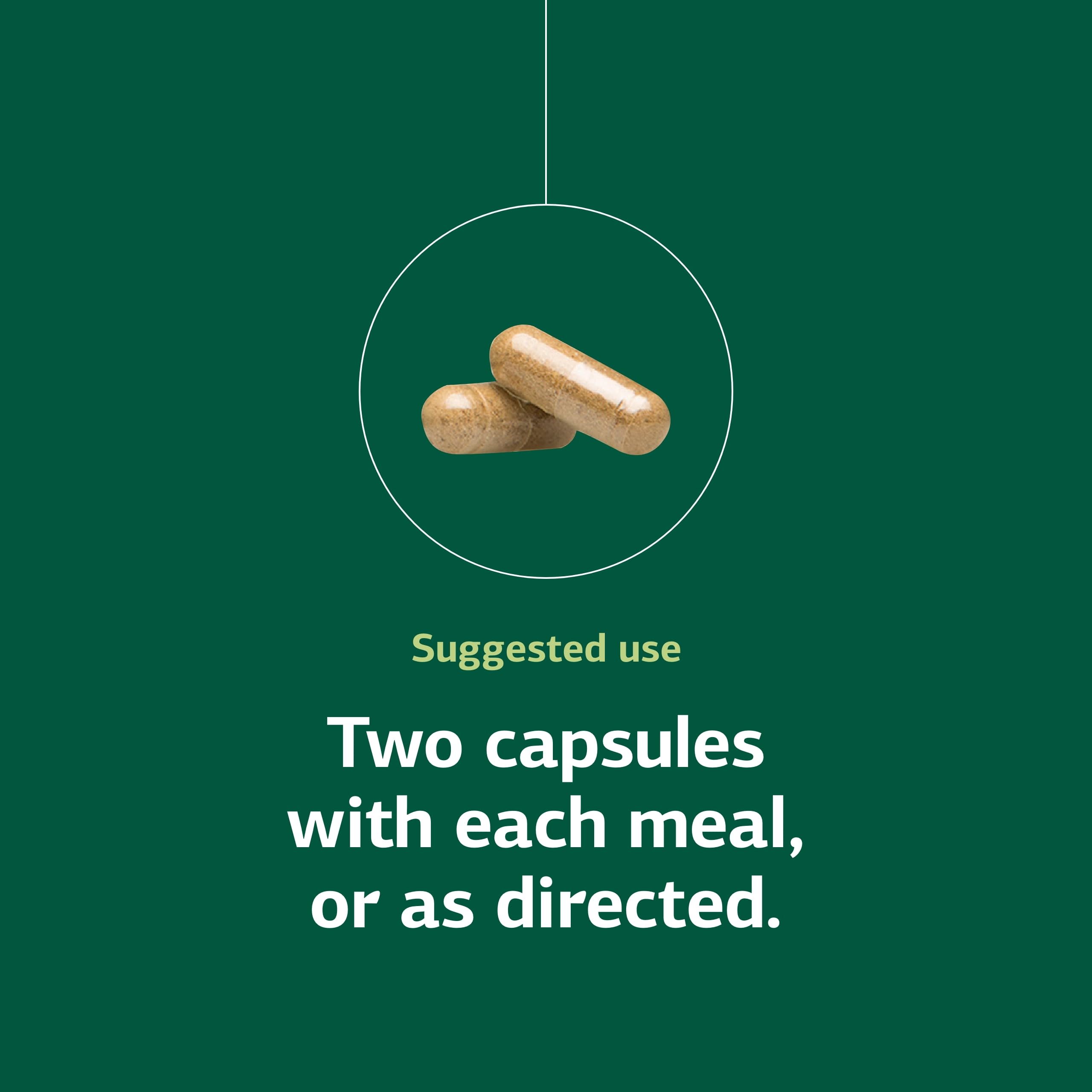Iplex Standard Process capsules visibles dans un bol pour dosage pratique