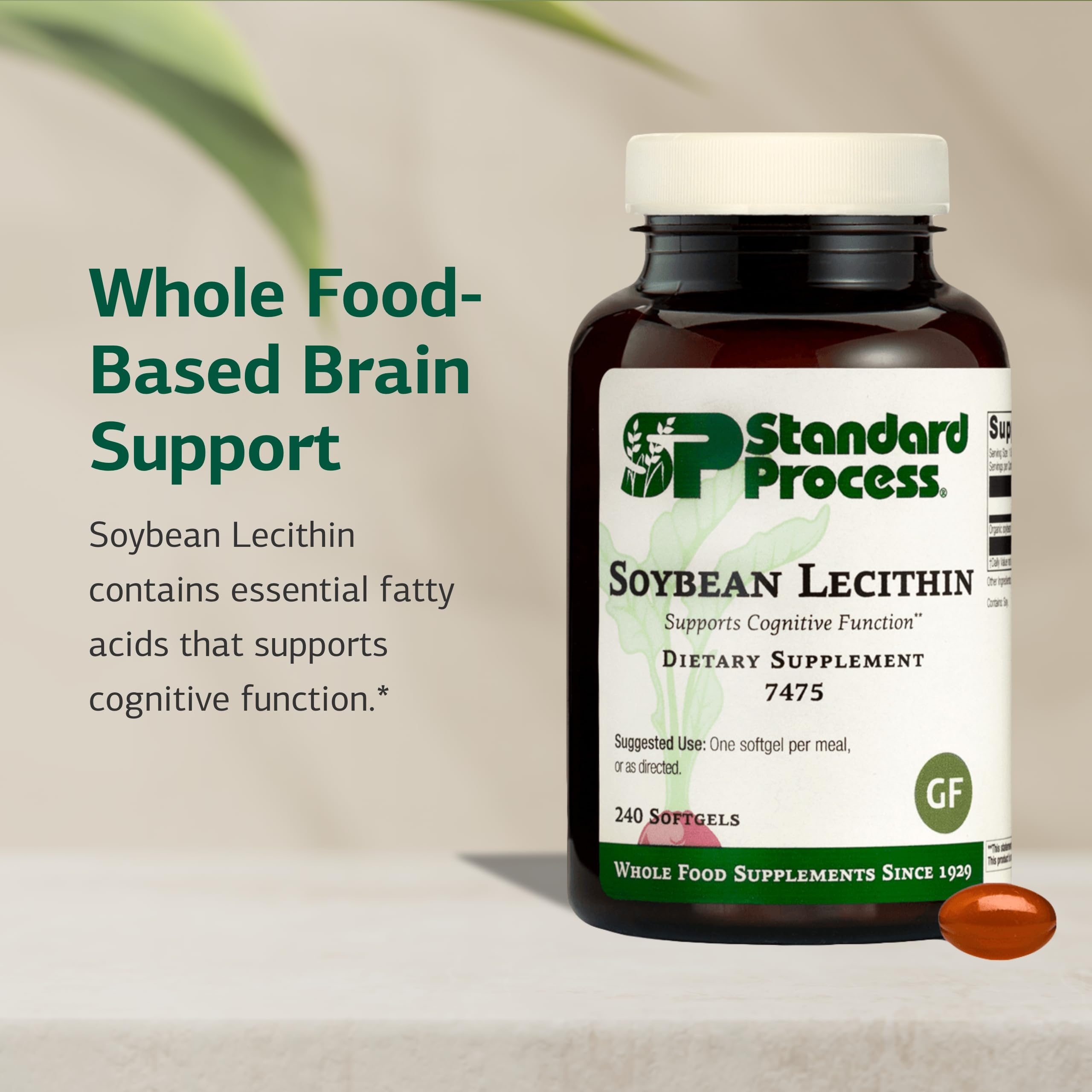 Standard Process Lecithine de Soja — étiquette produit, sans gluten et acides gras essentiels pour le bien-être.