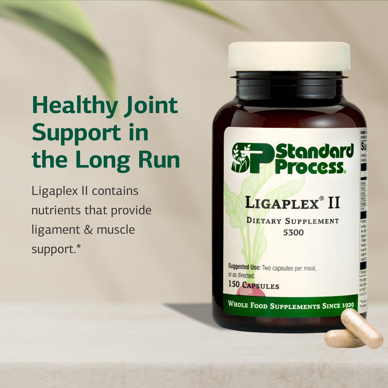 Capsules Ligaplex II : apport en manganèse et vitamines pour la santé articulaire.