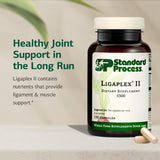 Capsules Ligaplex II : apport en manganèse et vitamines pour la santé articulaire.