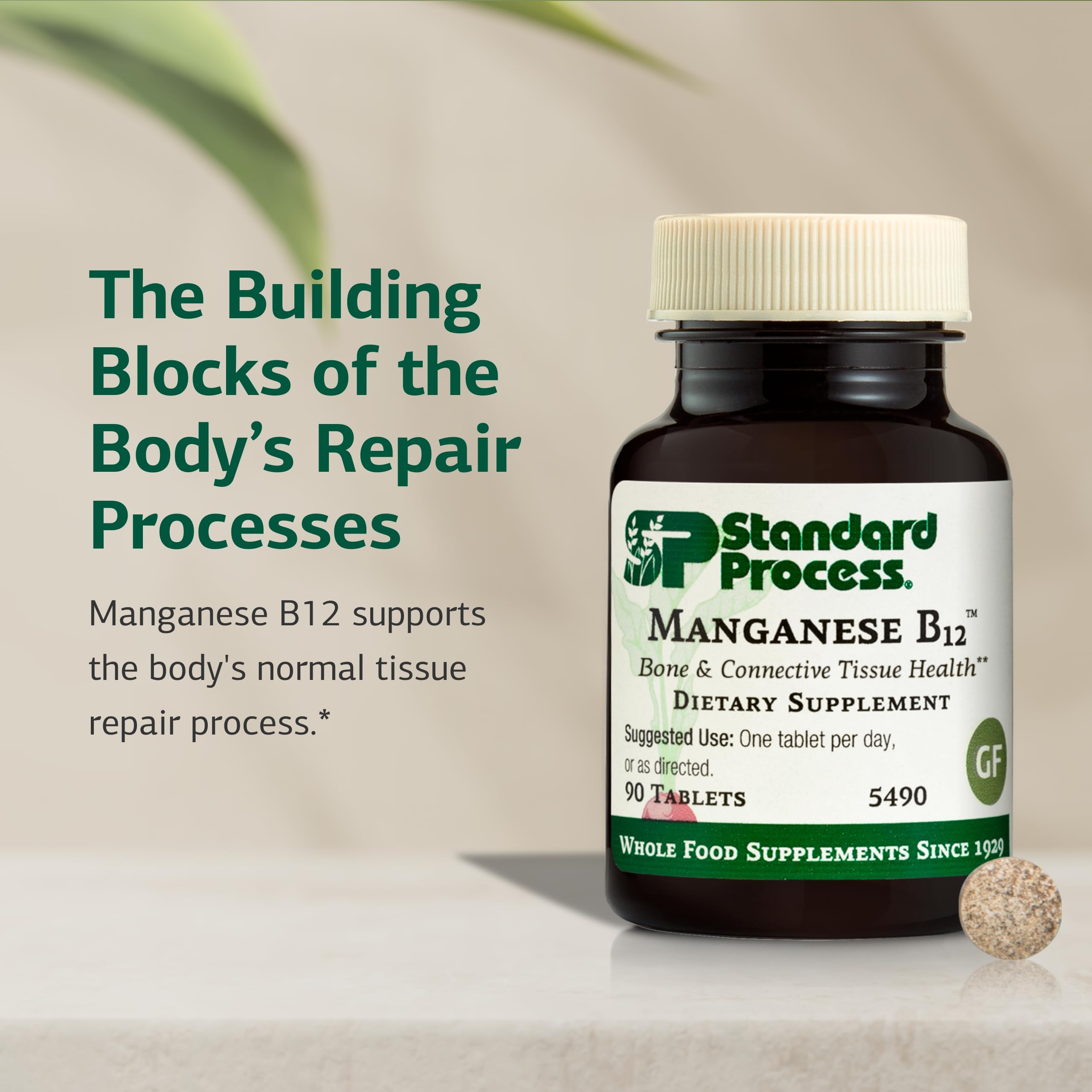Standard Process Manganèse B12 tablettes — peut soutenir la formation de l'hémoglobine.