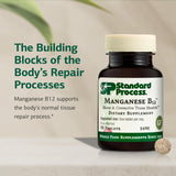 Standard Process Manganèse B12 tablettes — peut soutenir la formation de l'hémoglobine.