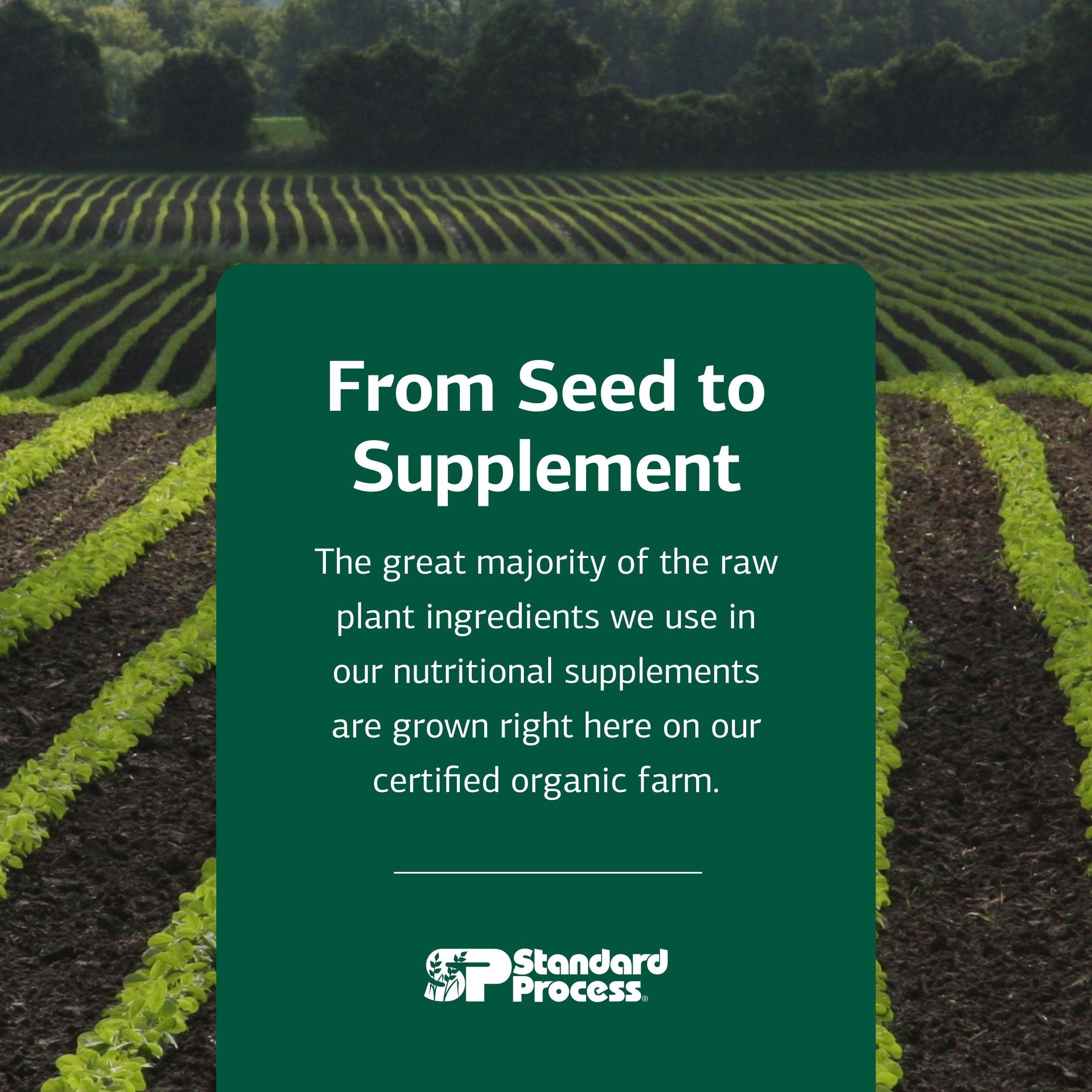 Capsules faciles à avaler et conçues pour le confort digestif avec Multizyme