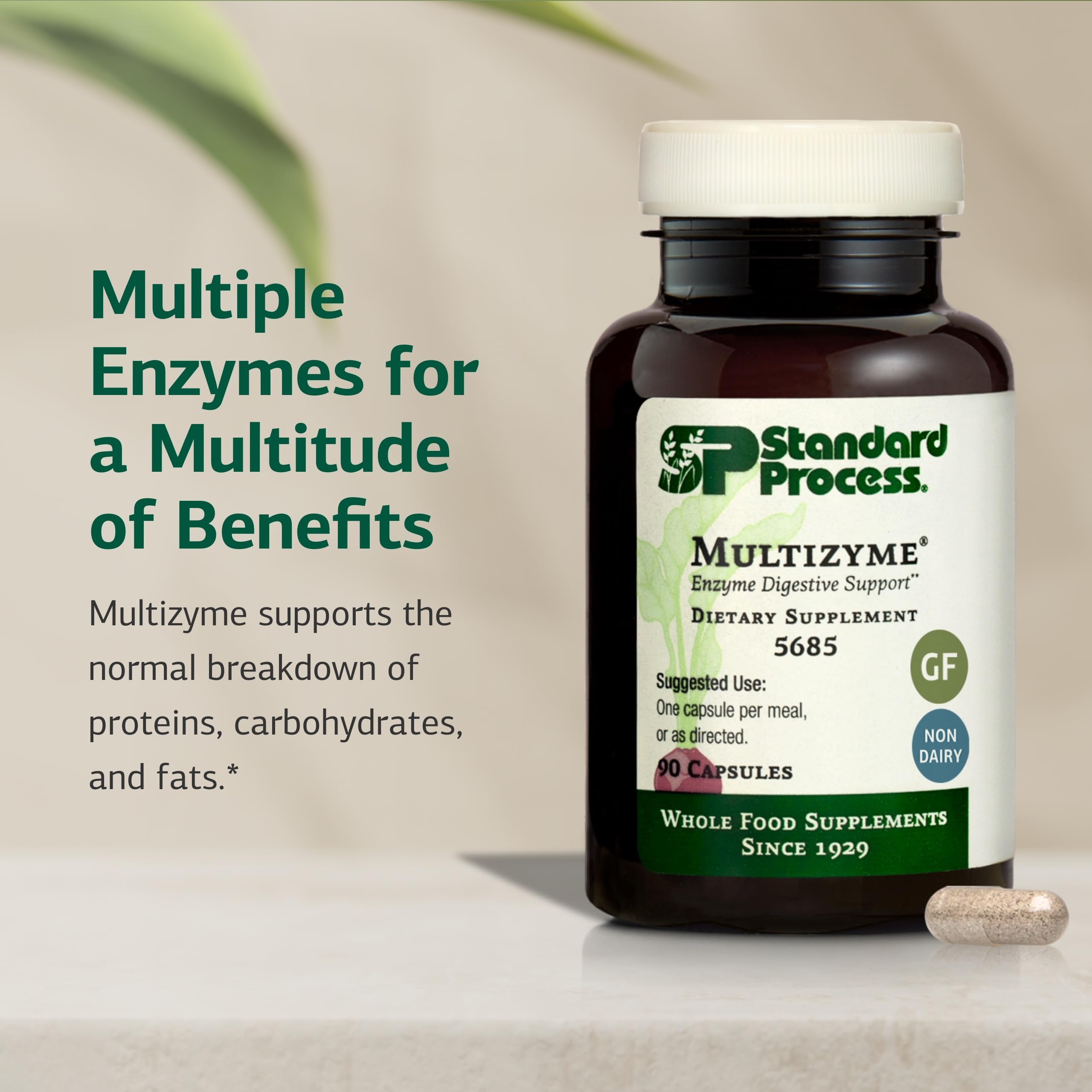 Ingrédients clés bromélaïne, amylase et lipase dans Standard Process Multizyme