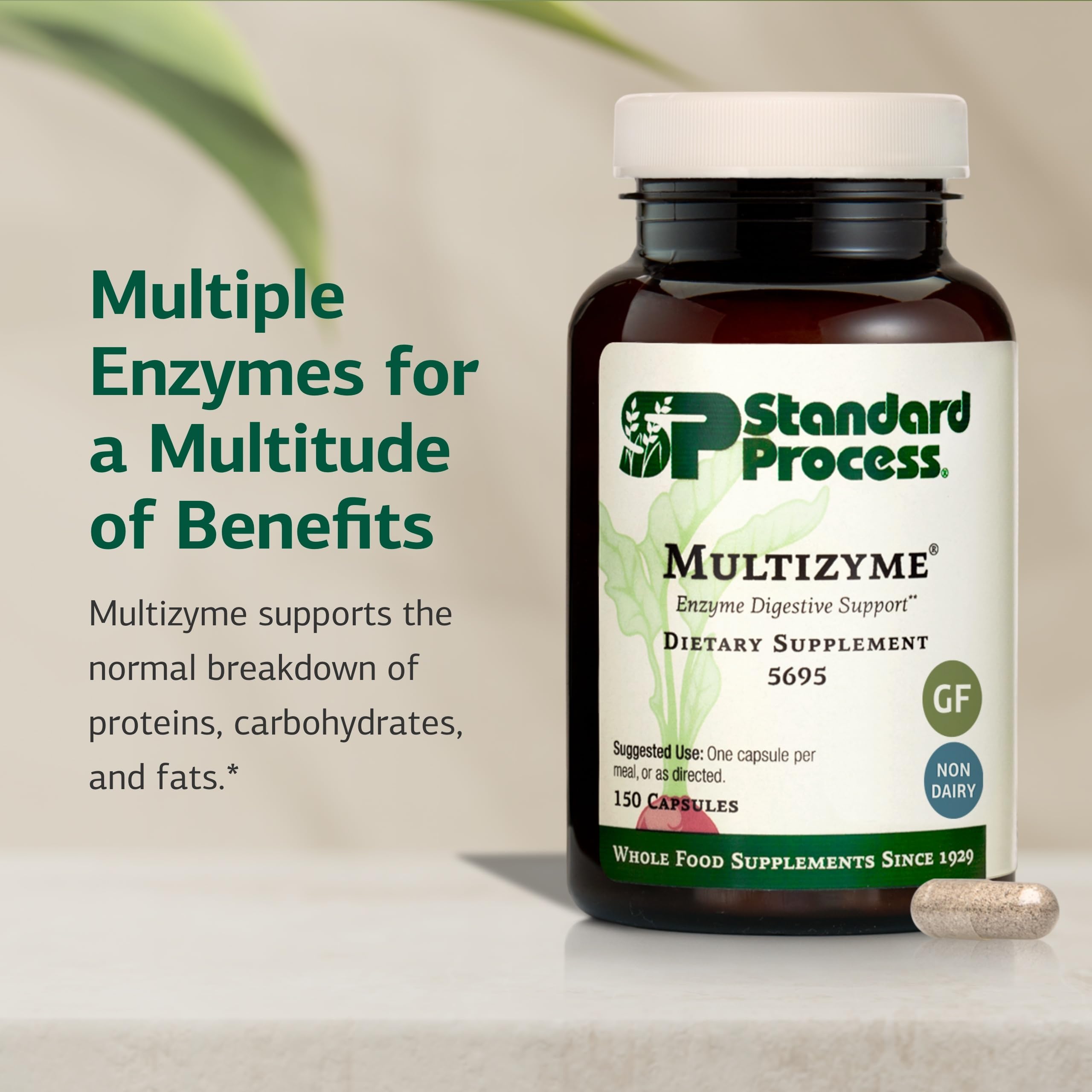 Ingrédients pancréatiques et enzymes digestives utiles pour la digestion des macronutriments.