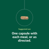 Multizyme sans lait ni soja pour régimes spécifiques