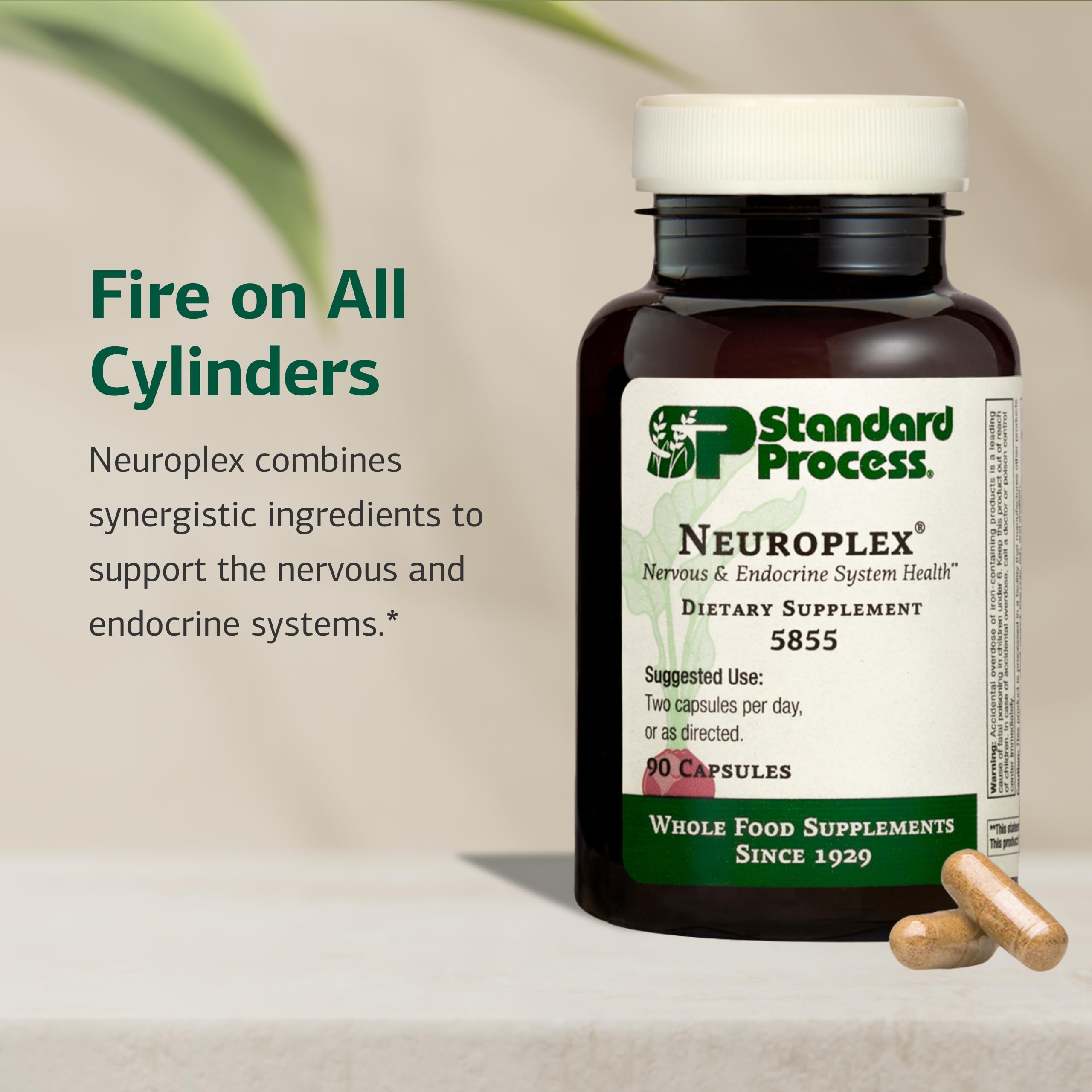 Tablettes Neuroplex, dosages recommandés pour l’usage quotidien.