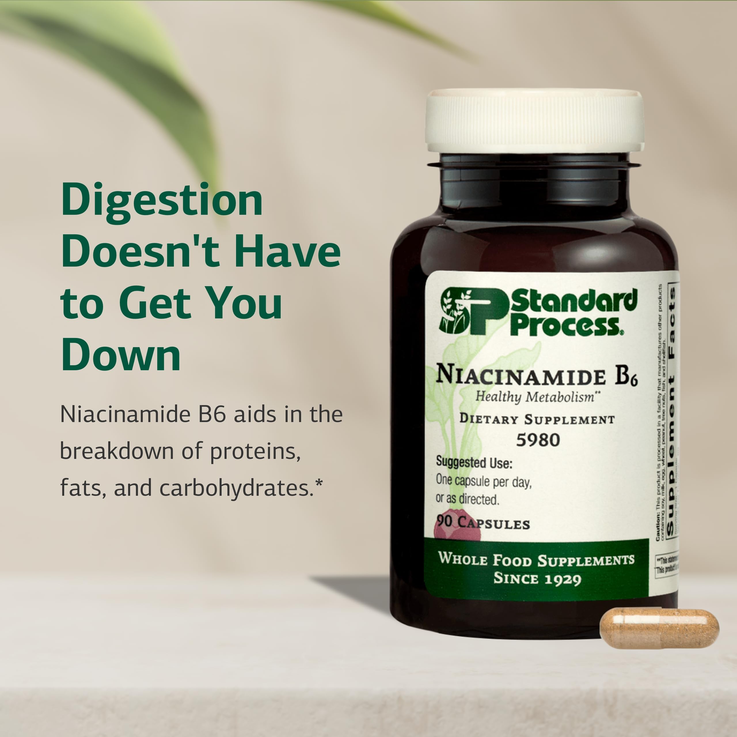 Standard Process Niacinamide B6 gélules digestion: contribution possible au confort digestif.