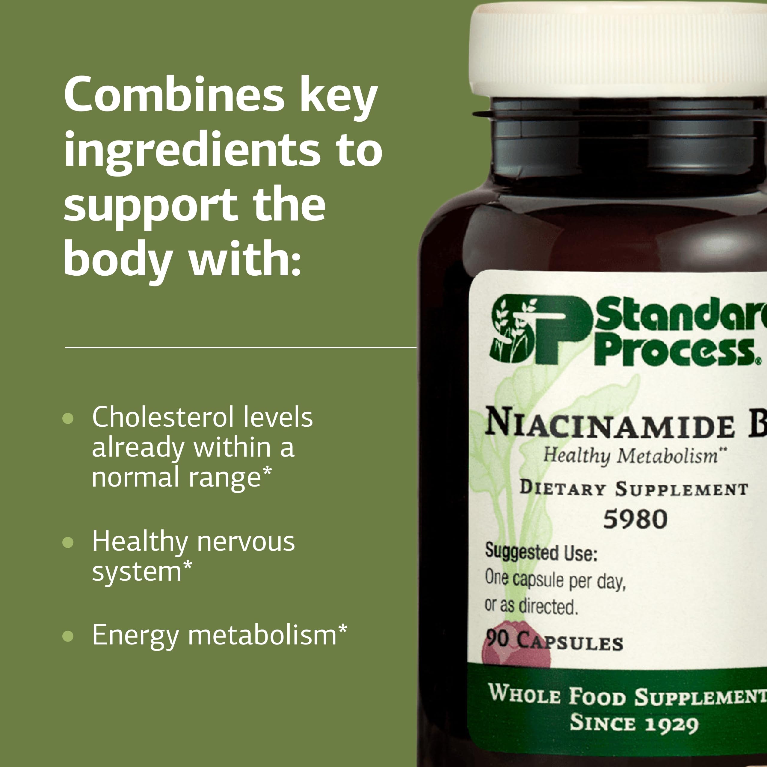 Standard Process Niacinamide B6 formulation sans gluten: option compatible pour divers régimes.