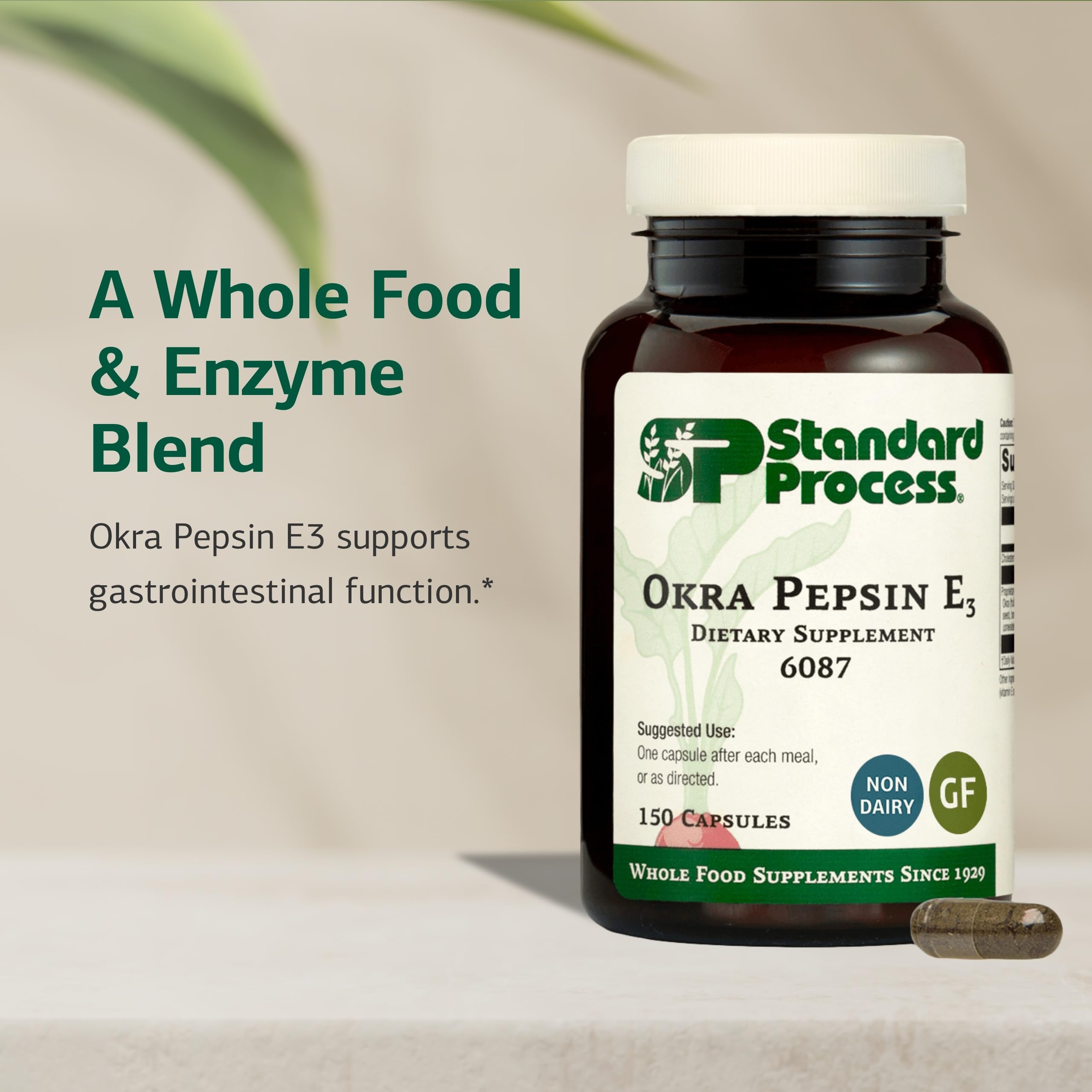 Boîte Standard Process Okra Pepsin E3 prête à soutenir l’intestin et le transit.