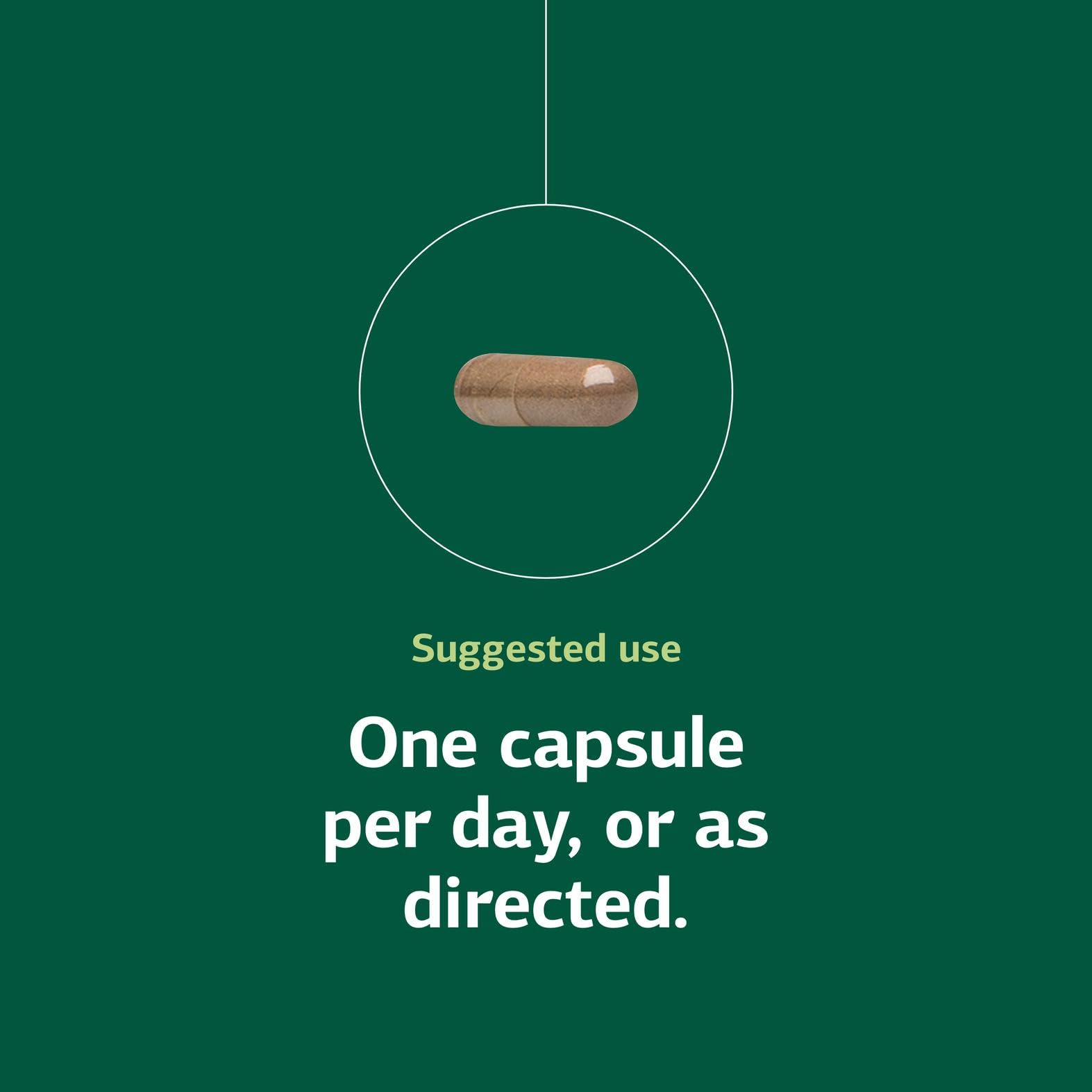Standard Process OPC Synergy: gros plan sur les capsules, usage quotidien recommandé.