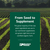 Standard Process Prebiotic Inulin – Image calcium-magnésium: soutien osseux potentiel.