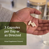 Standard Process ProSynbiotic : utilisation quotidienne facilitant le confort digestif.