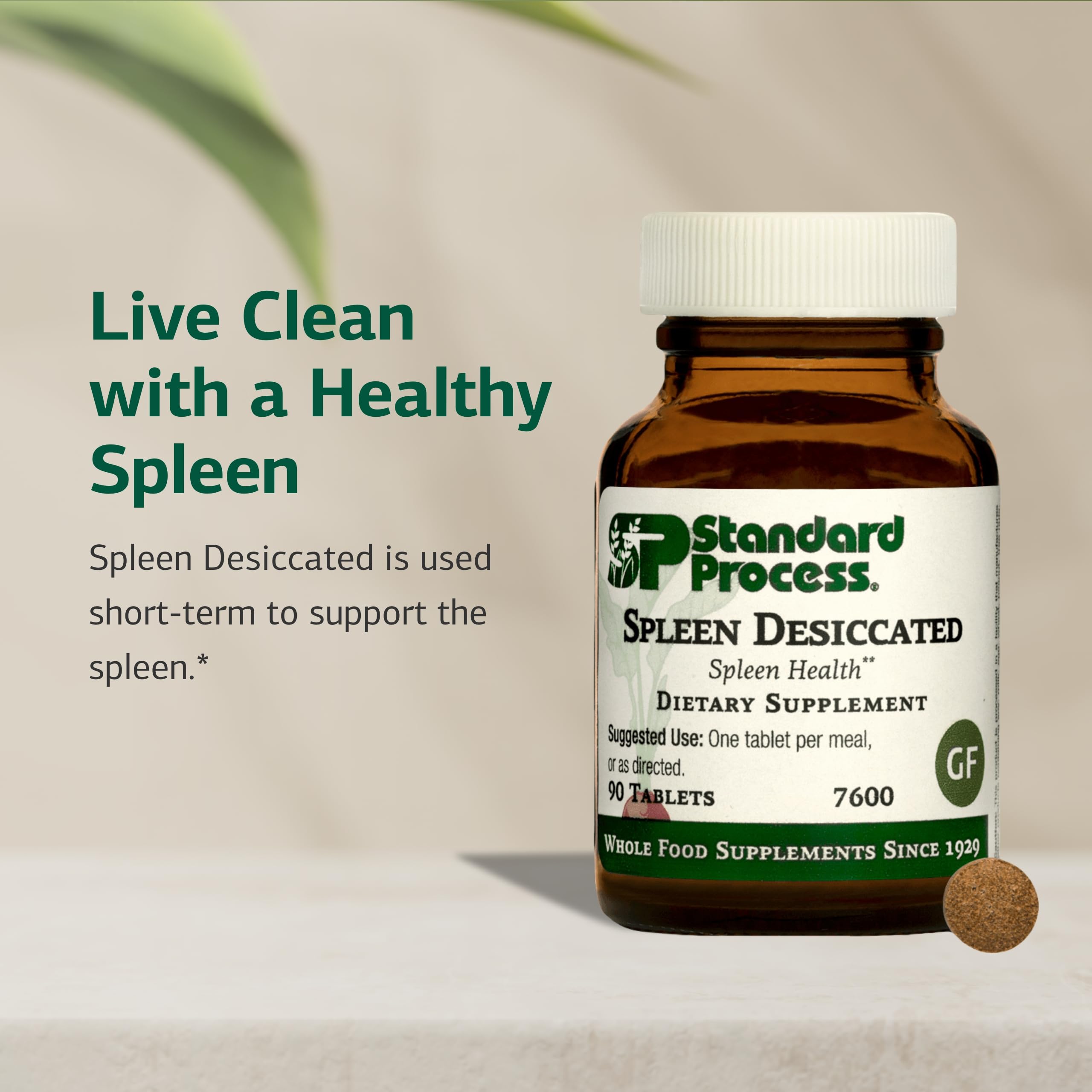 Standard Process Spleen Desiccated, dosage par repas, soutien potentiel de la rate.