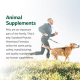 Soutien Cardiaque Canin Standard Process - flacon protégé, conservation et fraîcheur.