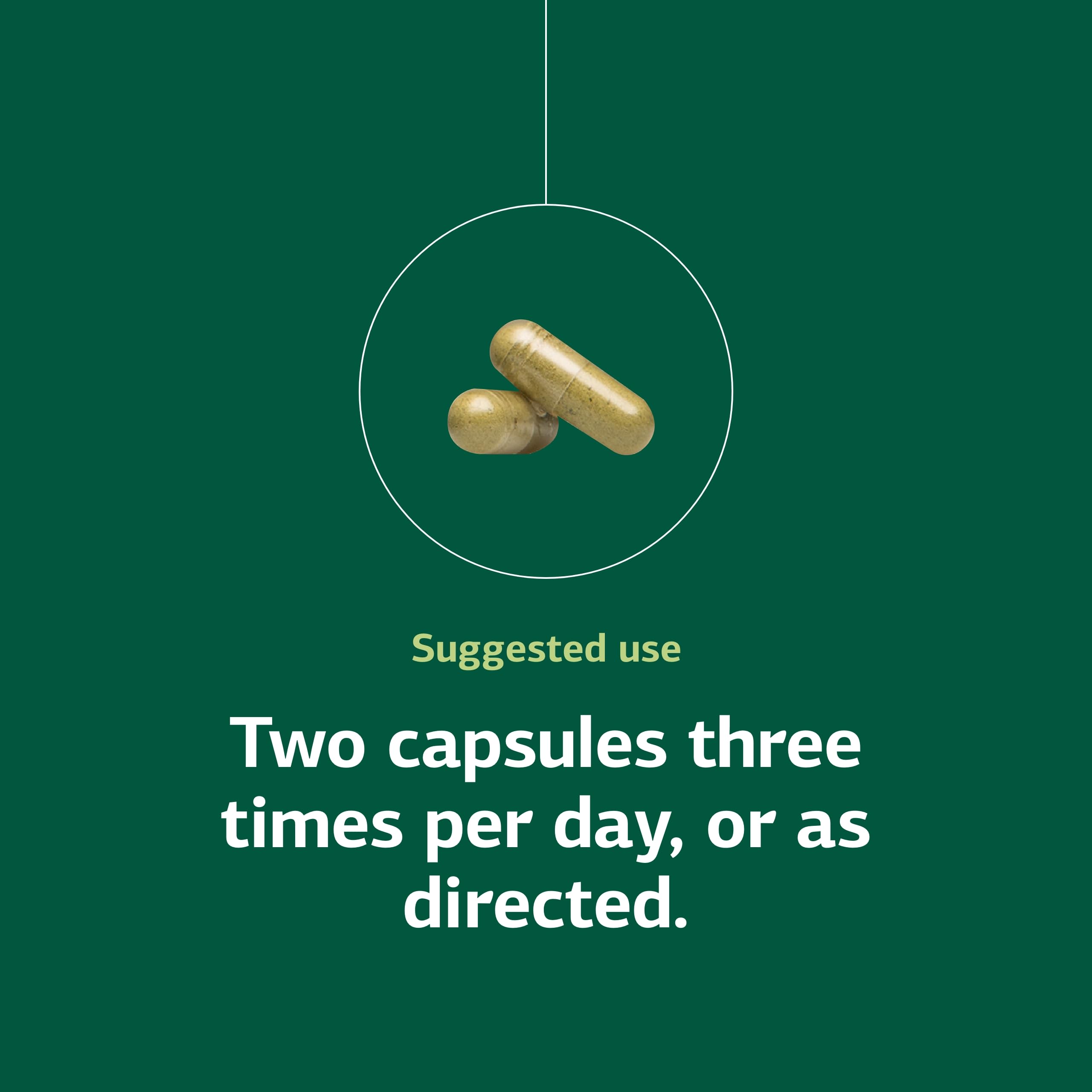 SP Green Food – capsules et dosage recommandé.