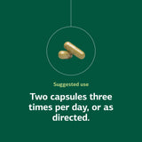 SP Green Food – capsules et dosage recommandé.