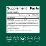 SP Green Food – mélange d’ingrédients verts avec alfalfa et kale pour l’apport nutritionnel.