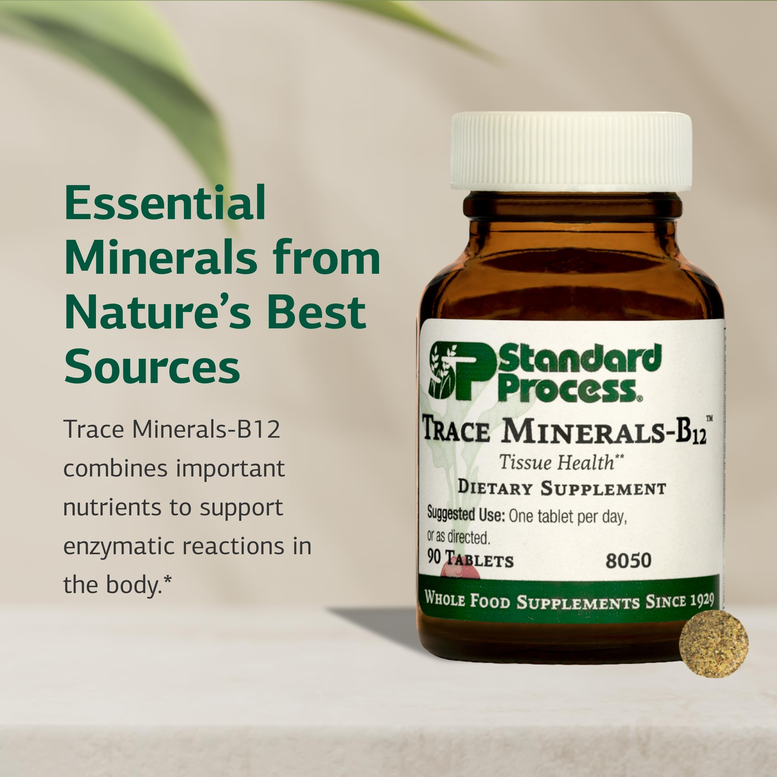 Emballage Standard Process Trace Minerals-B12 préserve fraîcheur et qualité.