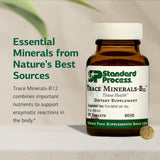 Emballage Standard Process Trace Minerals-B12 préserve fraîcheur et qualité.