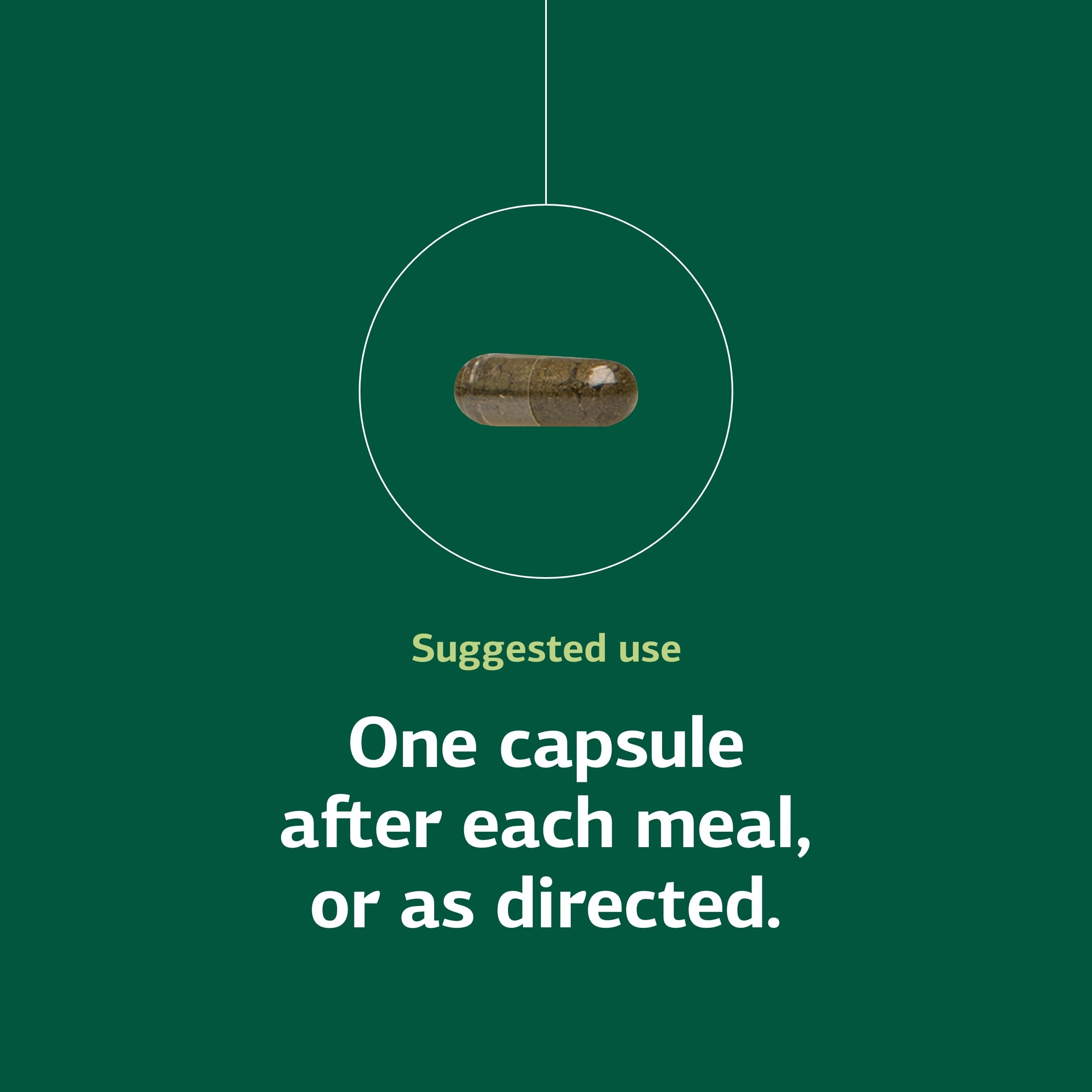 Utilisation-Capsules : Standard Process Gombo Pepsin E3 en action pour routine pratique.
