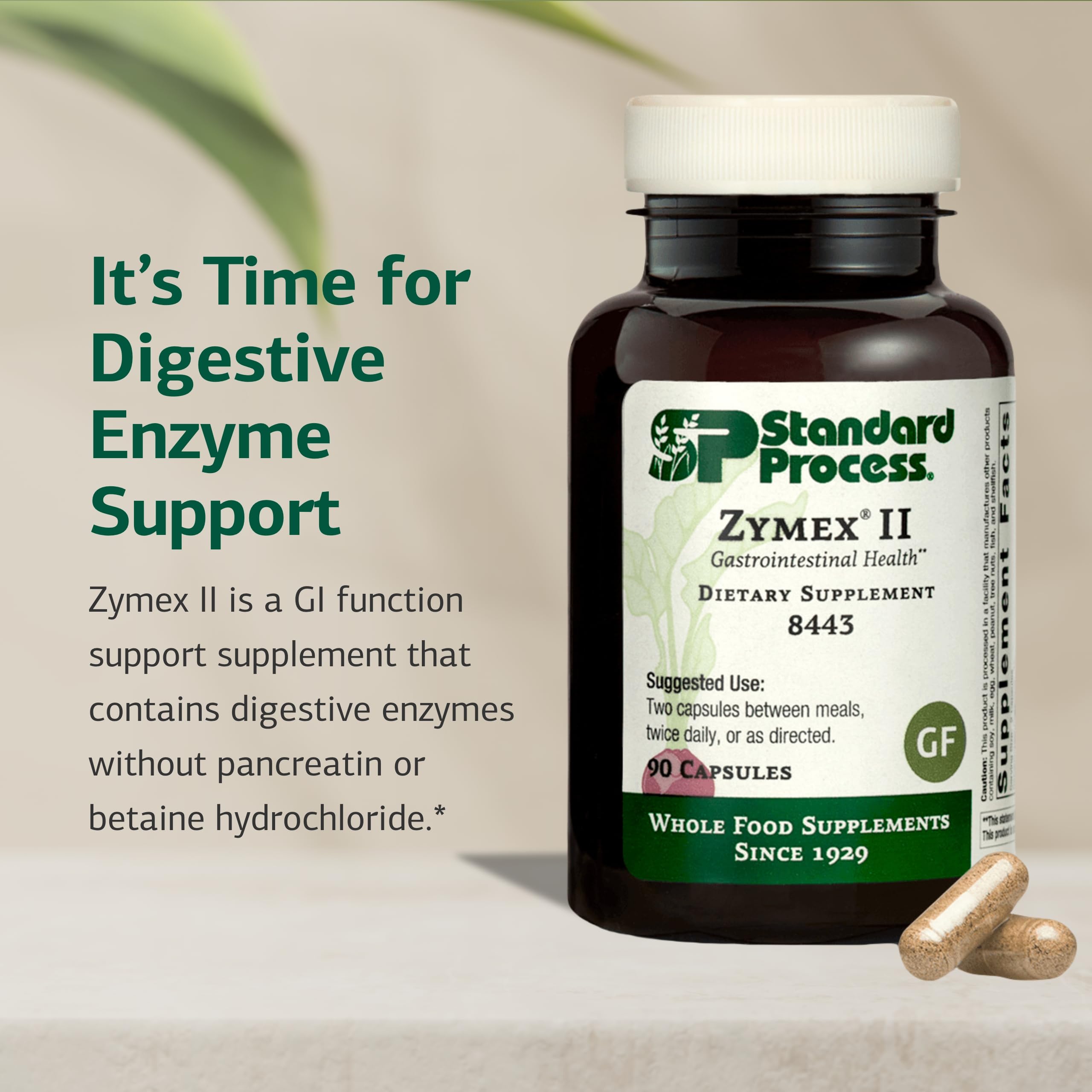 Standard Process Zymex II – étiquette, informations digestives claires pour usage quotidien.
