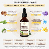 Starisetme Gouttes Absinthe Noix-Noire: dosage pratique pour votre routine quotidienne.