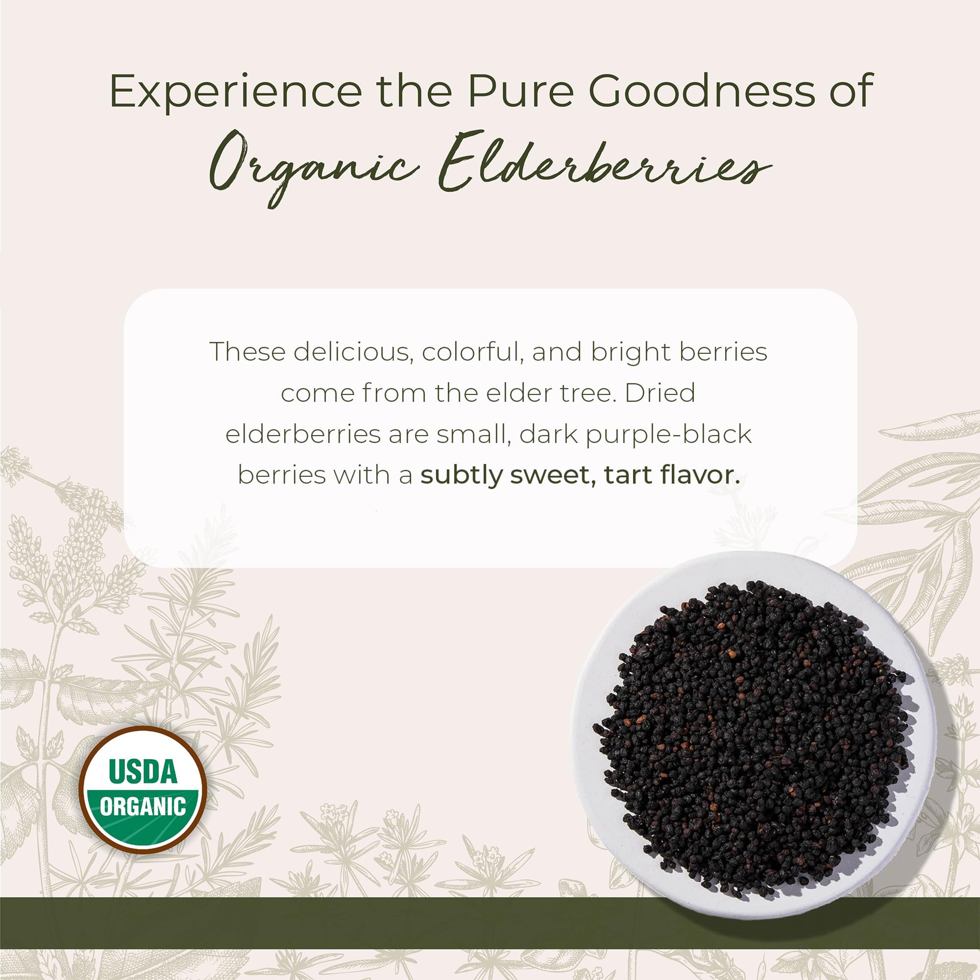 Gros plan sur les baies de sureau Starwest Botanicals bio séchées