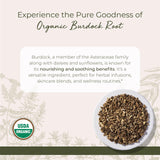 Starwest Botanicals Bardane racine terreuse prête à être infusée dans des boissons.