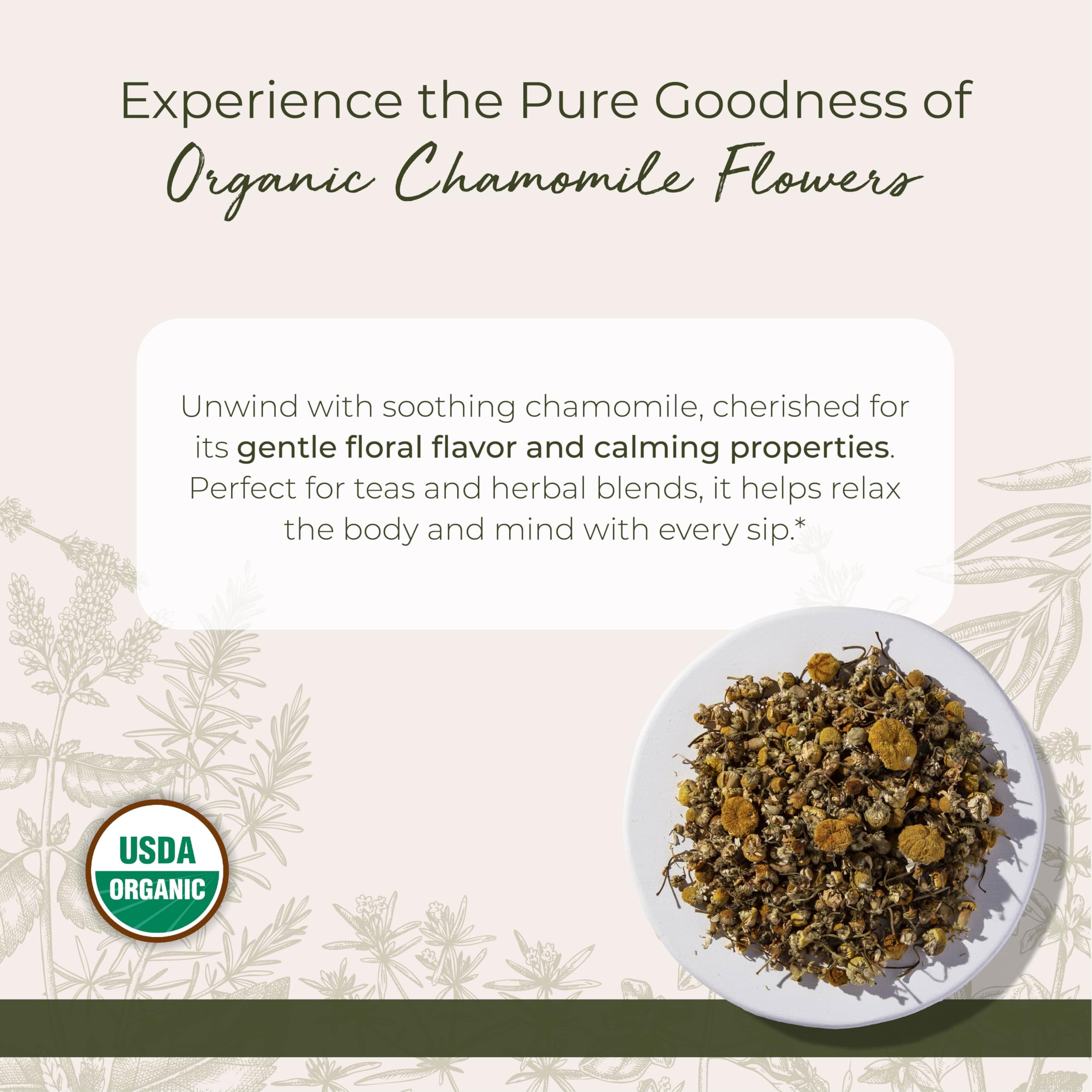 Infusion apaisante avec camomille Starwest pour une tasse aromatique