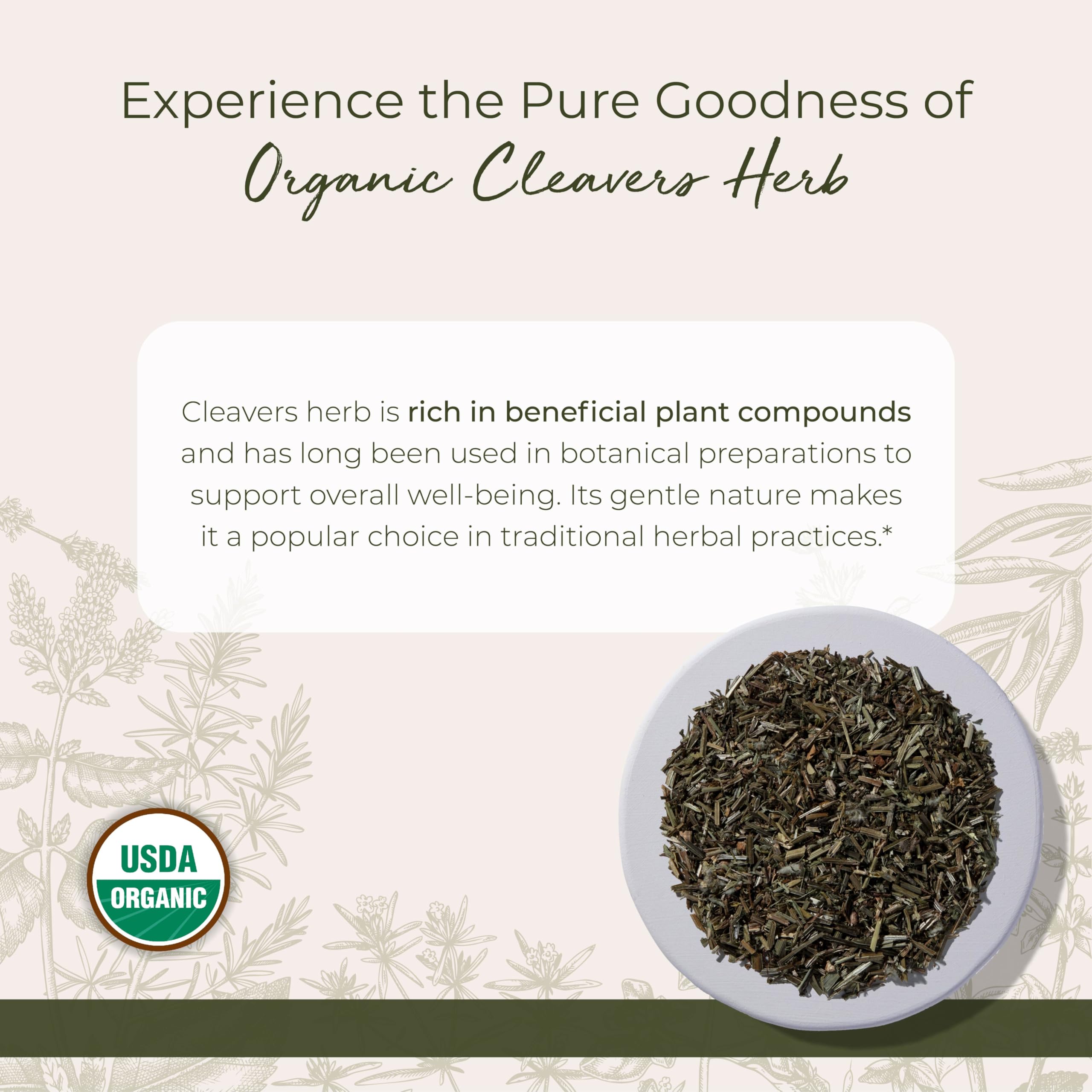 Cleavers bio Starwest, feuilles sèches en coupe, parfaite pour infusions.