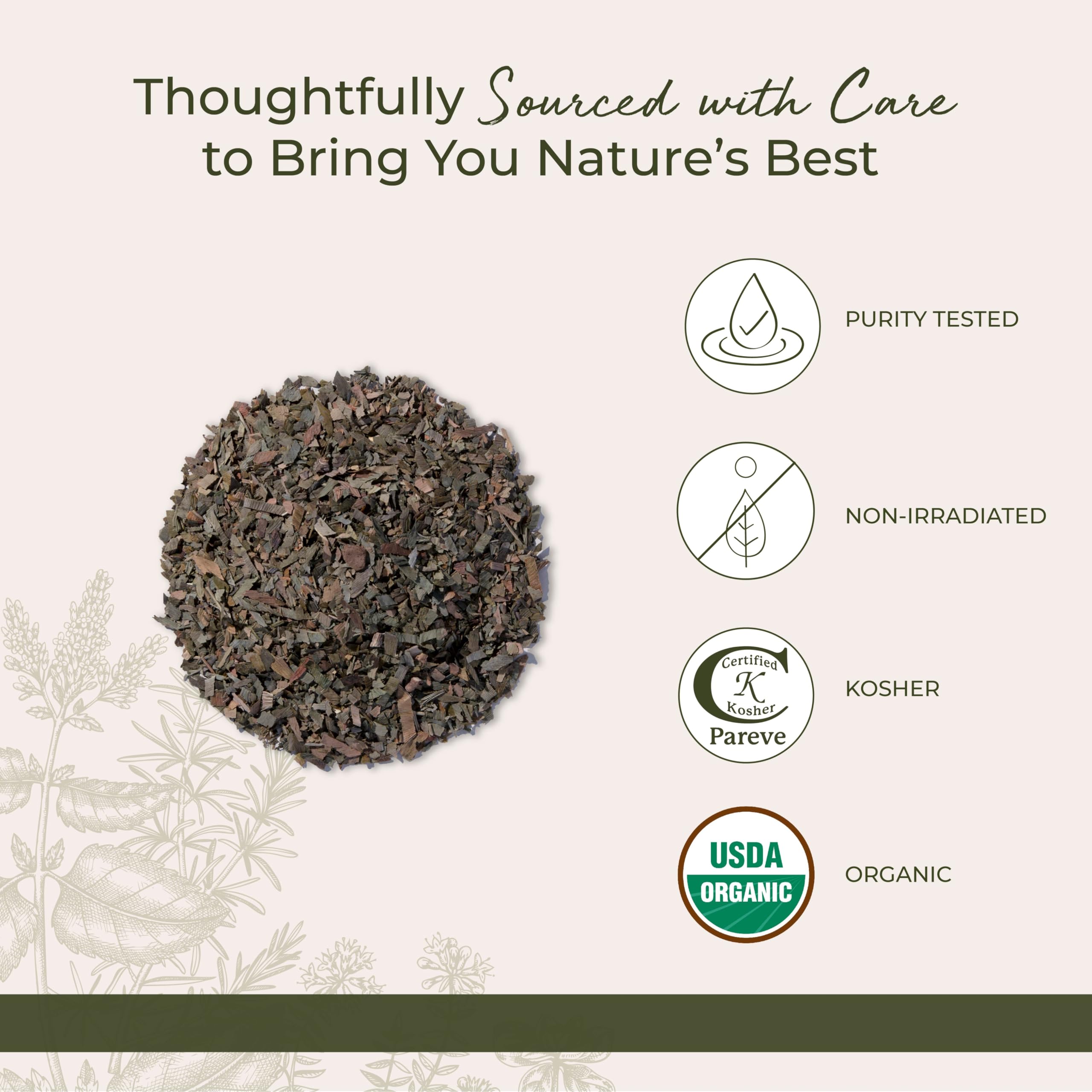 Starwest Botanicals Ginkgo — tasse chaude révèle un arôme subtil.