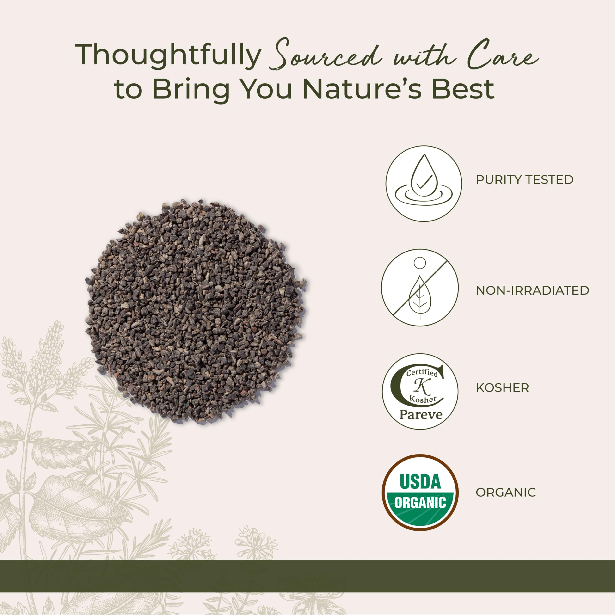 Starwest Botanicals infusion de racine actée noire biologique, arôme terreux et riche.