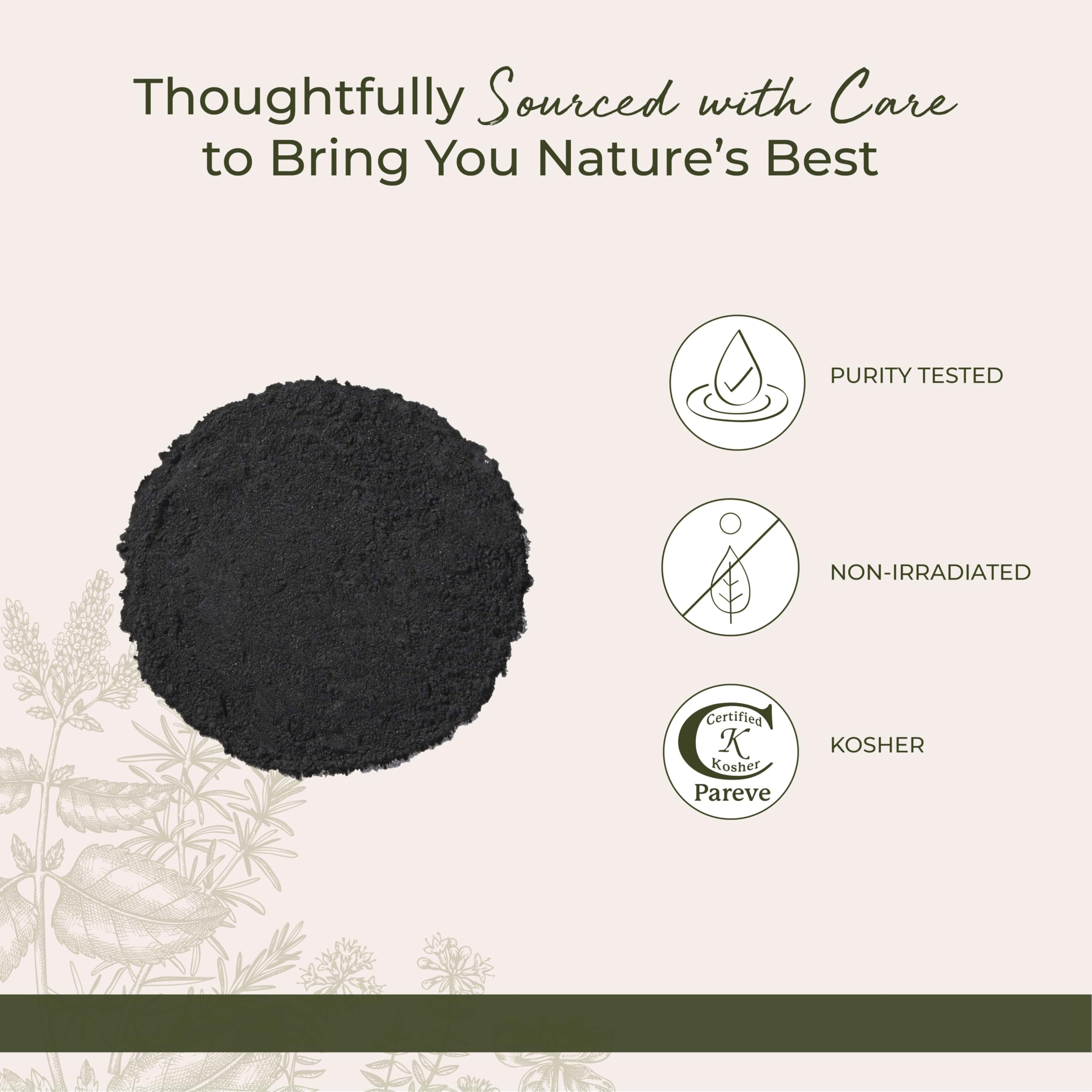 Starwest Botanicals Charbon Actif Poudre Purification aliments et arômes