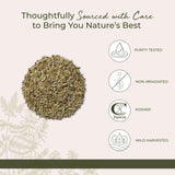 Starwest Botanicals infusion tasse racine Oregon Grape, arôme terreux.