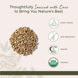 Starwest Botanicals tisane d'astragale prête à infuser pour un moment de réconfort