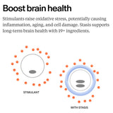 Stasis composition CoQ10 et Rhodiola pour un soutien cérébral durable