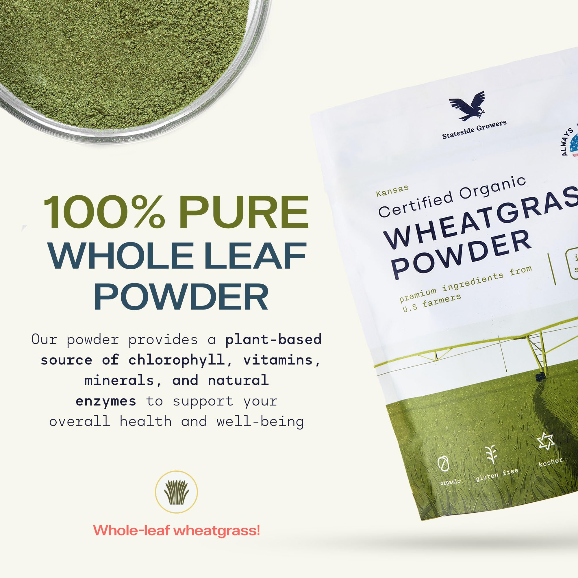 Stateside Growers Cuillère Mesure Poudre Herbe de Blé, dosage pratique quotidien.