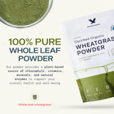 Stateside Growers Cuillère Mesure Poudre Herbe de Blé, dosage pratique quotidien.