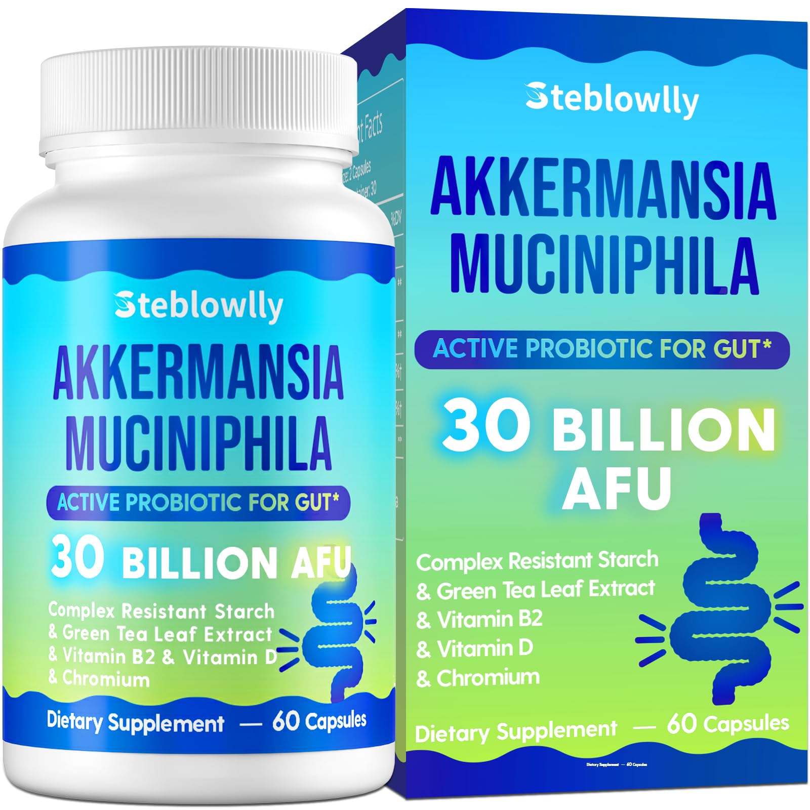 Steblowlly Akkermansia bouteille et capsules: soutien potentiel à la digestion