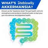 Steblowlly Akkermansia vegan sans gluten non-OGM facile a integrer