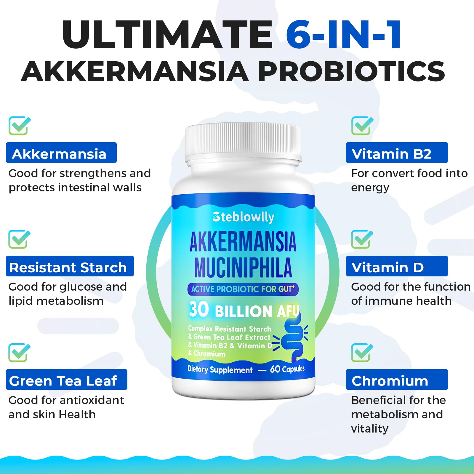 Steblowlly Akkermansia ingredients principaux et synergie soutien equilibre intestinal