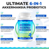 Steblowlly Akkermansia ingredients principaux et synergie soutien equilibre intestinal